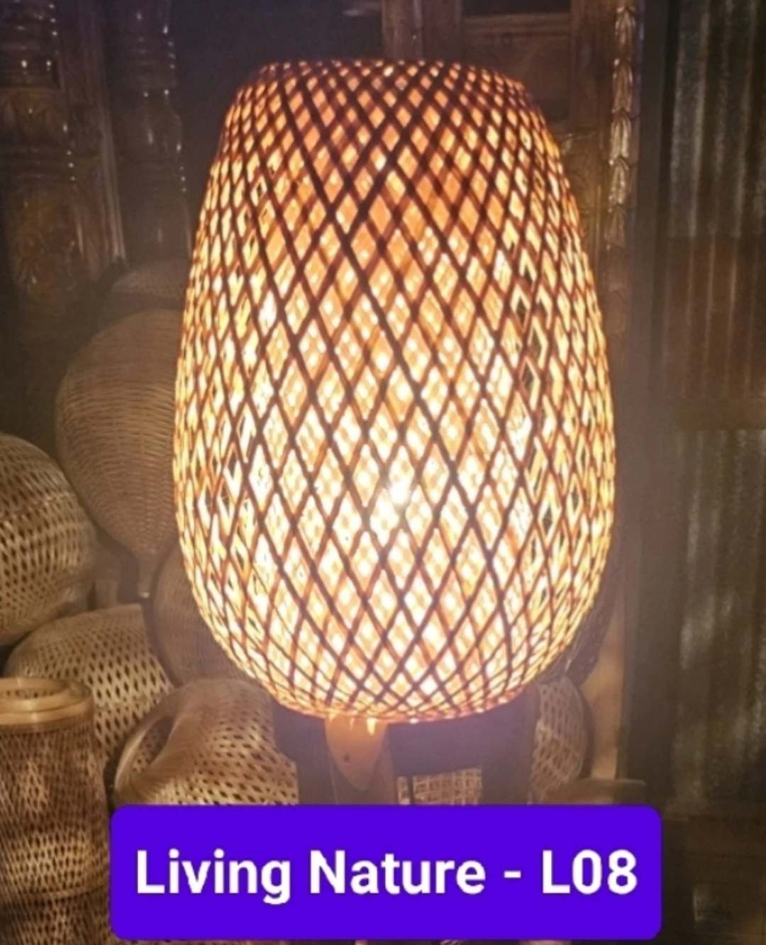 ডবল ডিম ঝোলানো লাইট